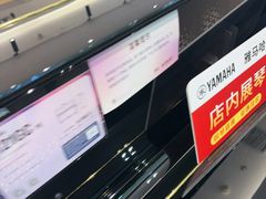 -盛世雅歌琴行·雅马哈钢琴专卖店·电钢琴城·钢琴培训(新辰里学清路店)