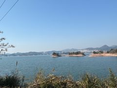 -逸廊大堂吧-下午茶·简餐-千岛湖自由洲际殿
