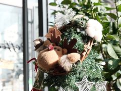 -隹木咖啡馆(宝龙广场店)