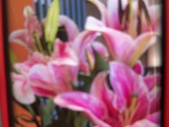 -写庭·鱼鲜川菜·宴请(铁像寺水街店)
