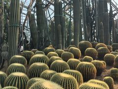 -南山植物园