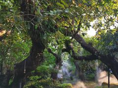 -Chom Cafe and Restaurant