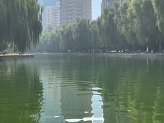 -团结湖公园