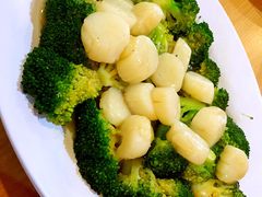 -ZF Seafood Restaurant 卓峰海鲜餐