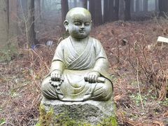 -武陵山森林公园