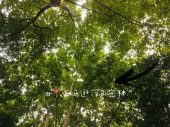 -良渚文化村
