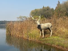 -溱湖国家湿地公园