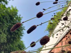 -广州神农草堂中医药博物馆