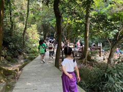-火炉山森林公园