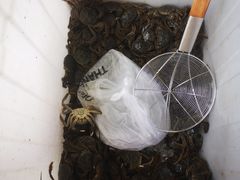 -蟹谢蒸鲜自助餐厅