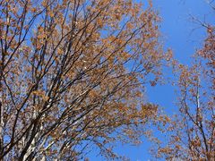 -秦岭终南山世界地质公园翠华山景区