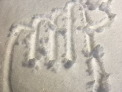 -老牌坊云南鱼豆花火锅(哈西万达店)