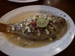 -绿光森林餐厅