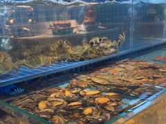 -冀粤香海鲜自助餐厅(西美五洲店)