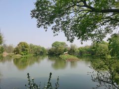 -西溪国家湿地公园