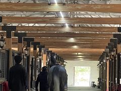 -北京群众马术培训基地