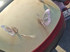 -张大嘴菜馆(庞各庄店)