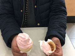 -麦当劳(盐城世纪大道得来速店)