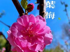 -月坛公园