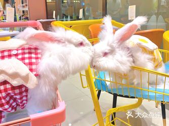 地理位置： 罗湖区茂业百货11楼（海底捞对面）