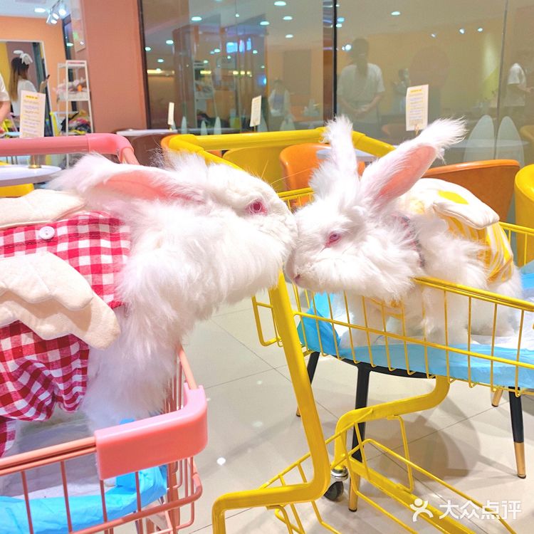 兔兔能有什么坏心思呢