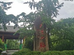 -中国扬子鳄村