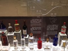 -中国酒文化城
