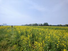 -汉长安城未央宫国家考古遗址公园