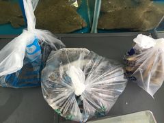 -清水湾3号(东方小周海鲜店)