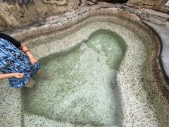 -海口观澜湖火山温泉谷