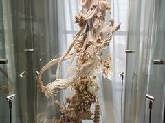 -上海市工艺美术博物馆