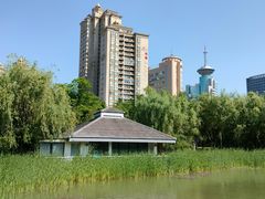 -新虹桥中心花园