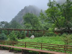 -青峰峡国家森林公园