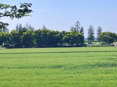 -同里国家湿地公园