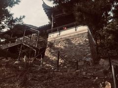 -石老人观光园
