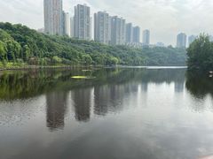 -重庆彩云湖湿地公园