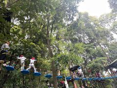-天鹿湖森林公园