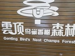 -亚龙湾热带天堂森林公园
