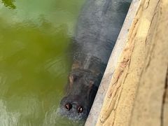 -鄂尔多斯野生动物园