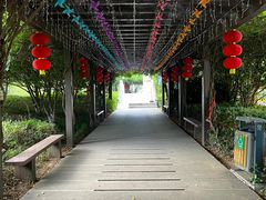 -白马涧龙池景区