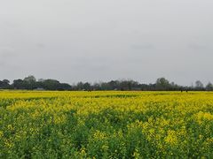 -中国天府农业博览园