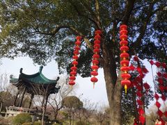 -无锡梅园公园