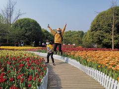 -南山植物园