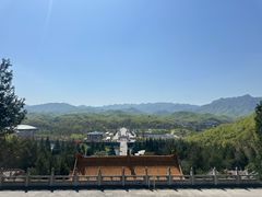 -中原大佛景区