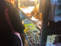 -清真·王家桶子鸡