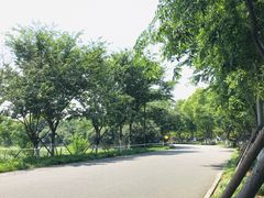 -东湖落雁景区