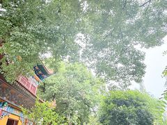-宝通禅寺