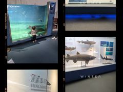 -重庆欢乐海底世界