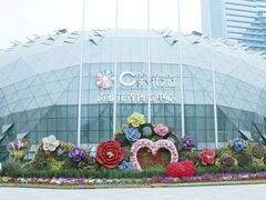 -花之城