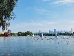-济南大明湖景区